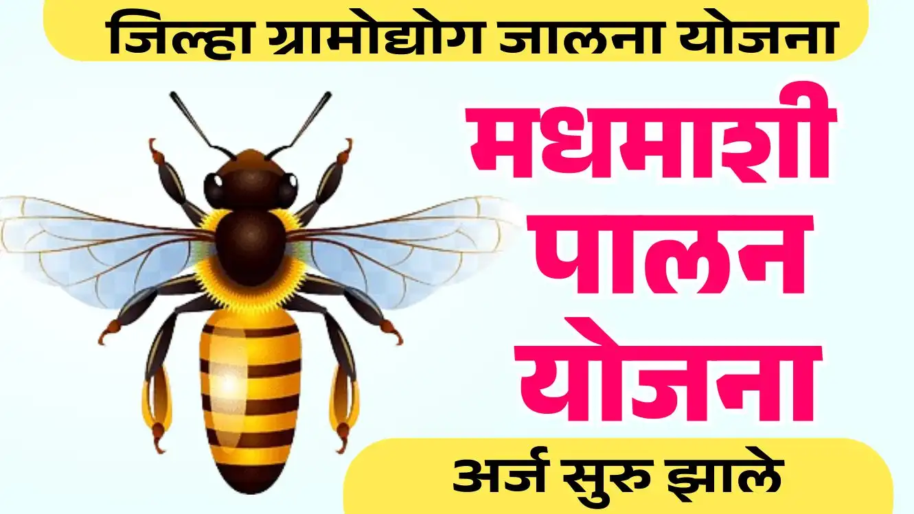 मधमाशी पालन योजना 2025 महाराष्ट्र – मध उत्पादन व प्रशिक्षणासाठी शासनाची मदत योजना