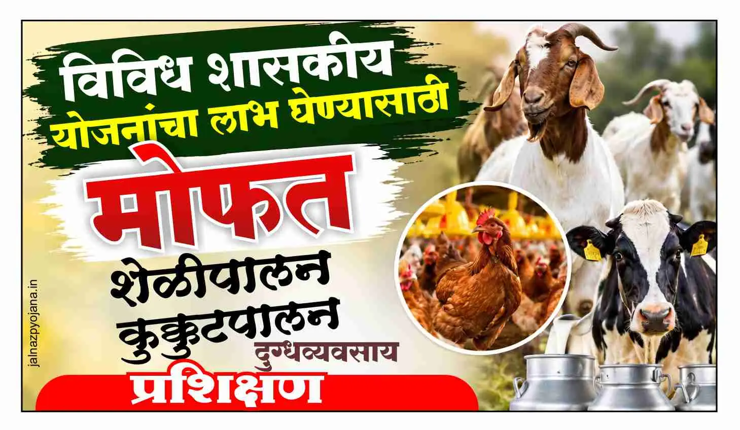 मोफत शेळीपालन प्रशिक्षण